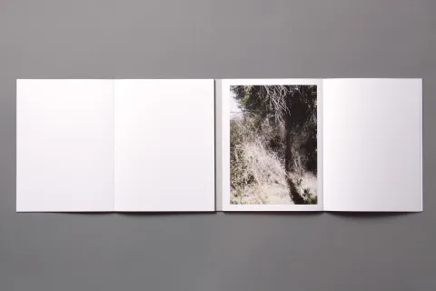 mirjana-vrbaski_odd-time_12