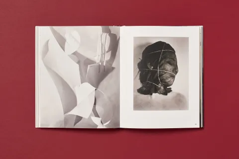 silverthorne_jeffrey_works_12