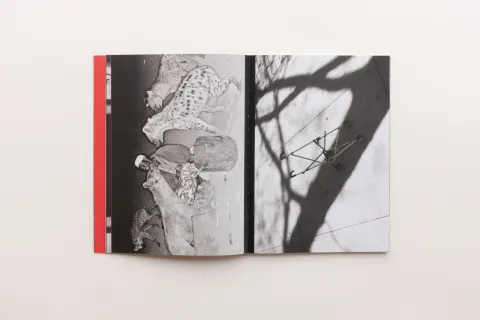 walking_distance__11