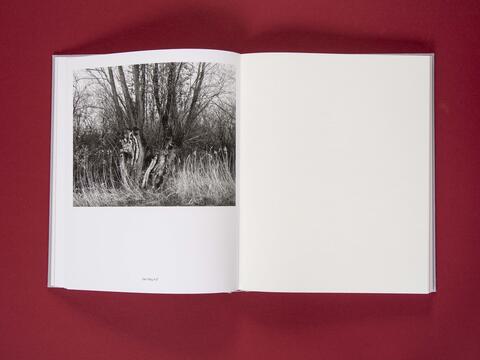 am_weg_hans-christian-schink_251010__18