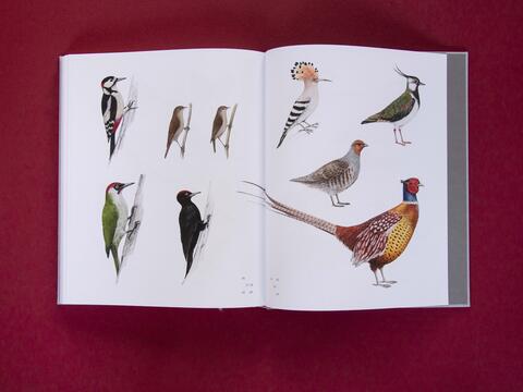 am_weg_hans-christian-schink_251010__2