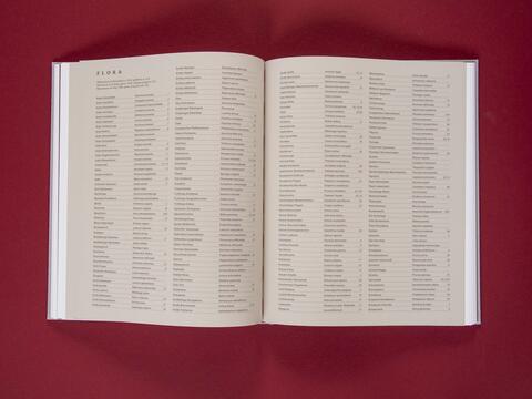 am_weg_hans-christian-schink_251010__21