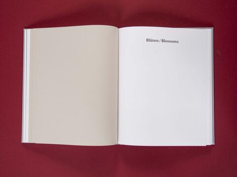 am_weg_hans-christian-schink_251010__23