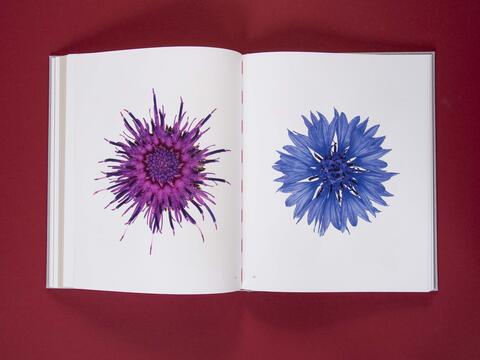 am_weg_hans-christian-schink_251010__26