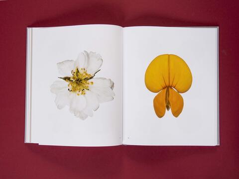 am_weg_hans-christian-schink_251010__28