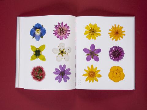 am_weg_hans-christian-schink_251010__29