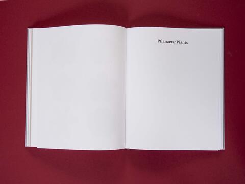 am_weg_hans-christian-schink_251010__30