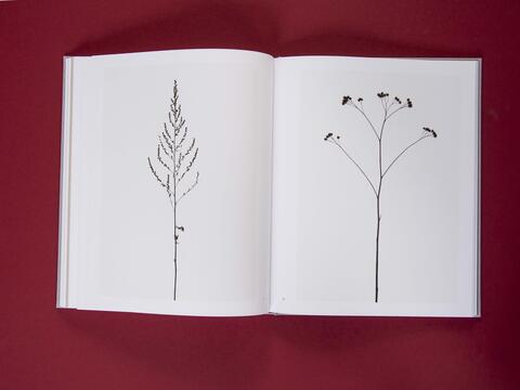 am_weg_hans-christian-schink_251010__31