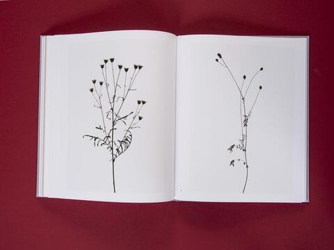 am_weg_hans-christian-schink_251010__32