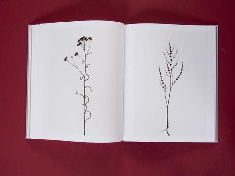 am_weg_hans-christian-schink_251010__33