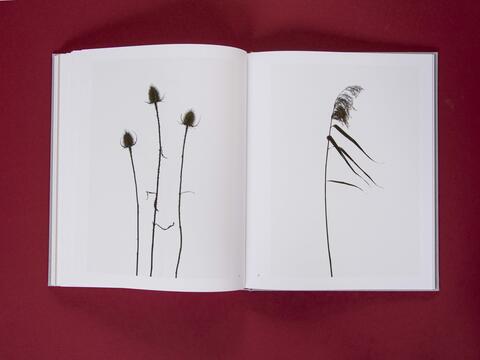 am_weg_hans-christian-schink_251010__34