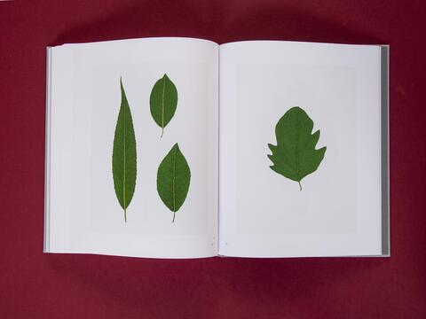 am_weg_hans-christian-schink_251010__37