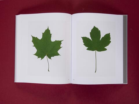 am_weg_hans-christian-schink_251010__38