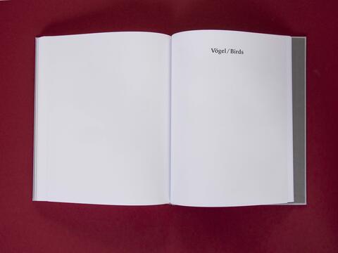 am_weg_hans-christian-schink_251010__39