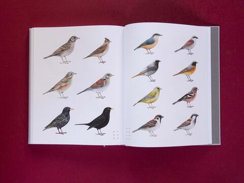 am_weg_hans-christian-schink_251010__4