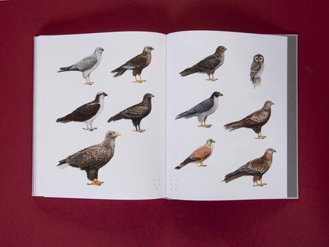 am_weg_hans-christian-schink_251010__40