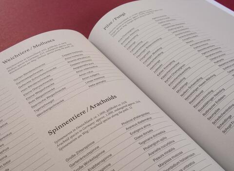 am_weg_hans-christian-schink_251010__41